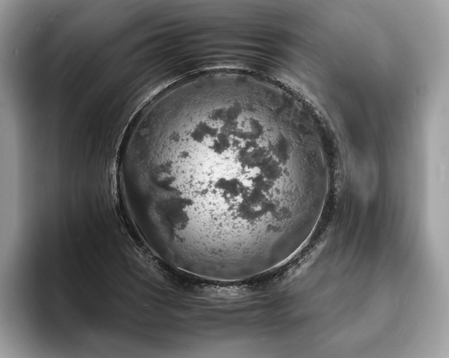 X0000094061121200710191056