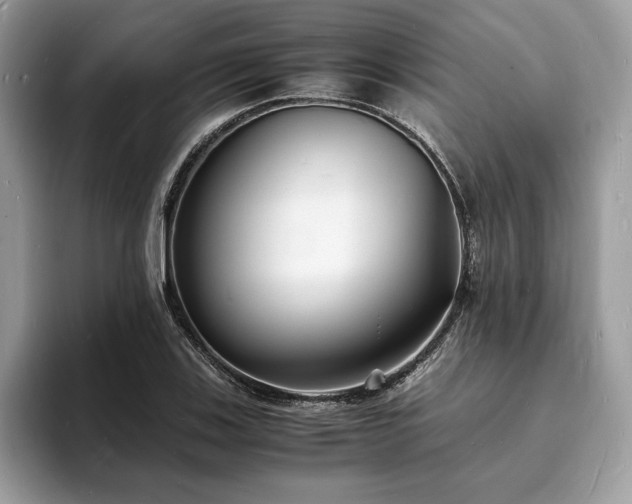 X0000094061123200710191056