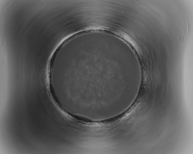 X0000094061124200710191056