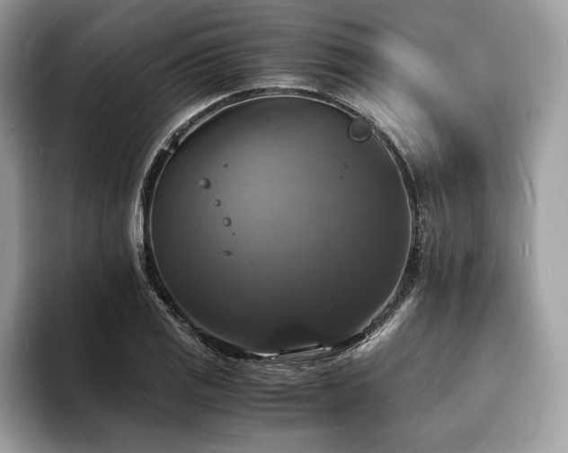 X0000094061125200710191056