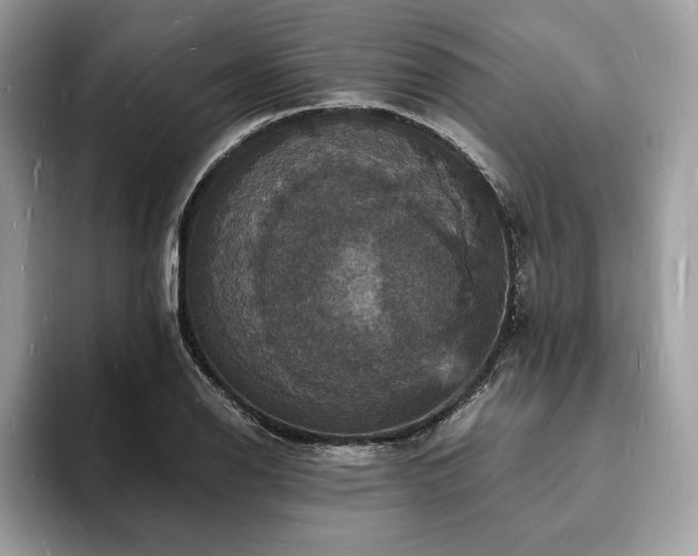 X0000094061126200710191056