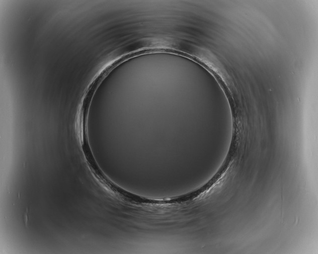 X0000094061127200710191056