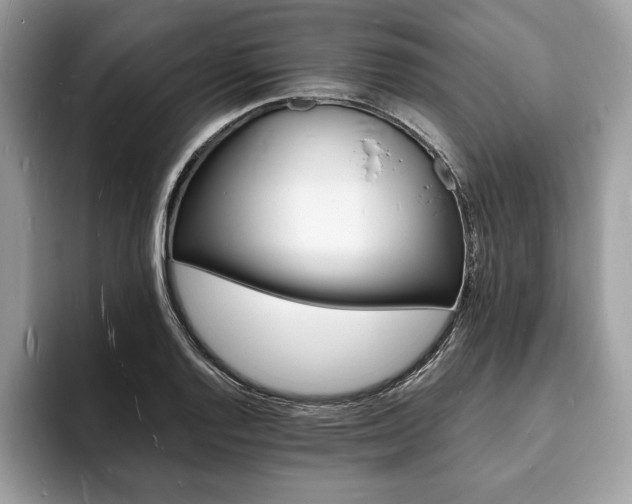 X0000094061128200710191056