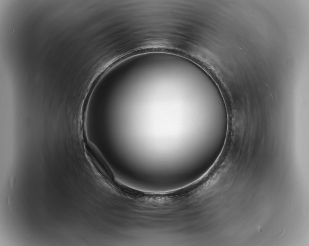 X0000094061129200710191056