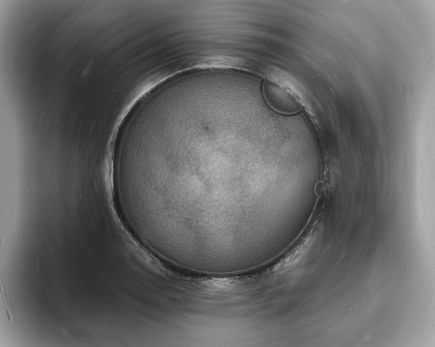 X0000094061130200710191056