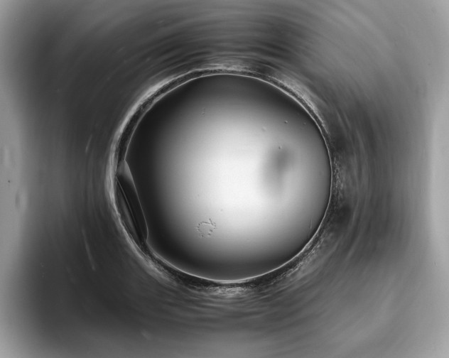 X0000094061131200710191056