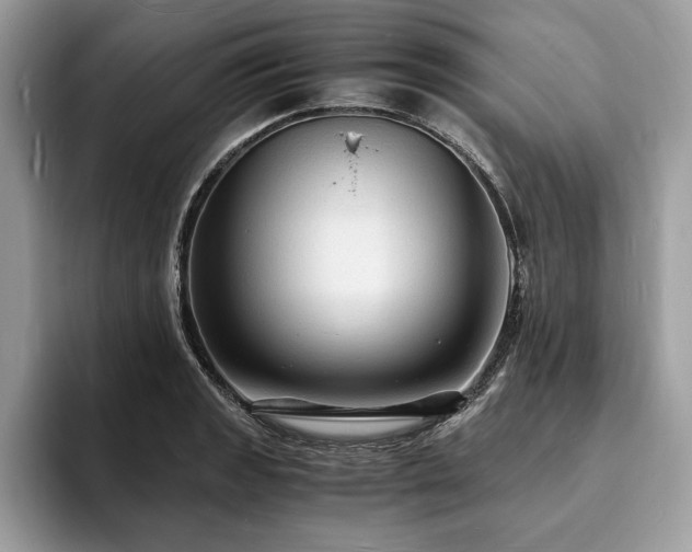 X0000094061133200710191056