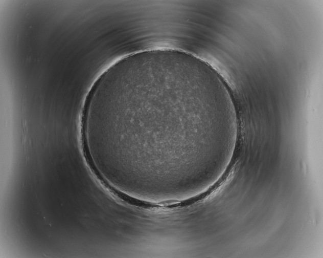 X0000094061134200710191056
