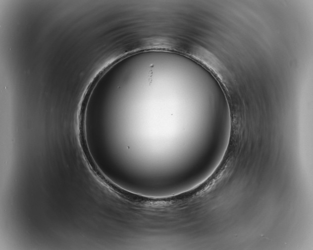 X0000094061135200710191056