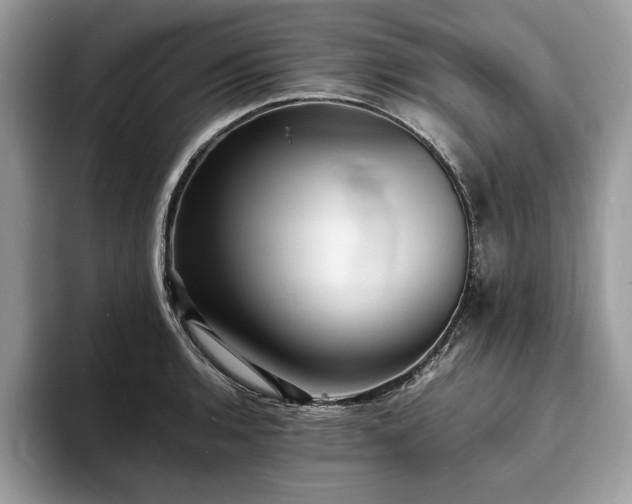 X0000094061136200710191056