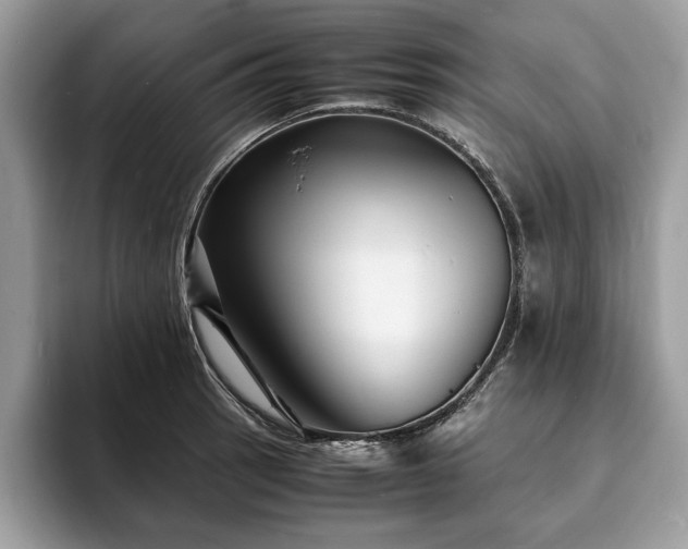 X0000094061137200710191056