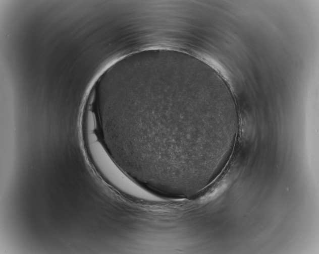 X0000094061138200710191056
