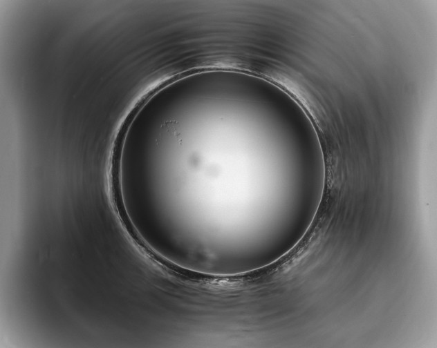 X0000094061139200710191056
