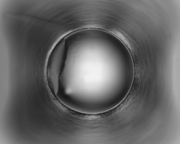 X0000094061140200710191056