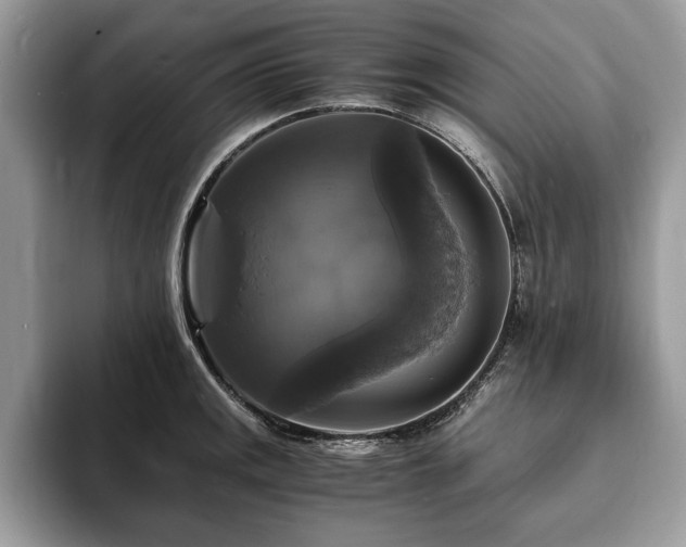 X0000094061141200710191056