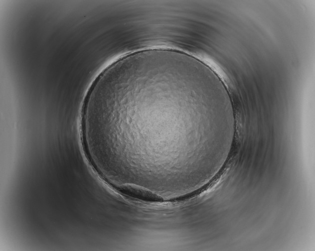 X0000094061142200710191056