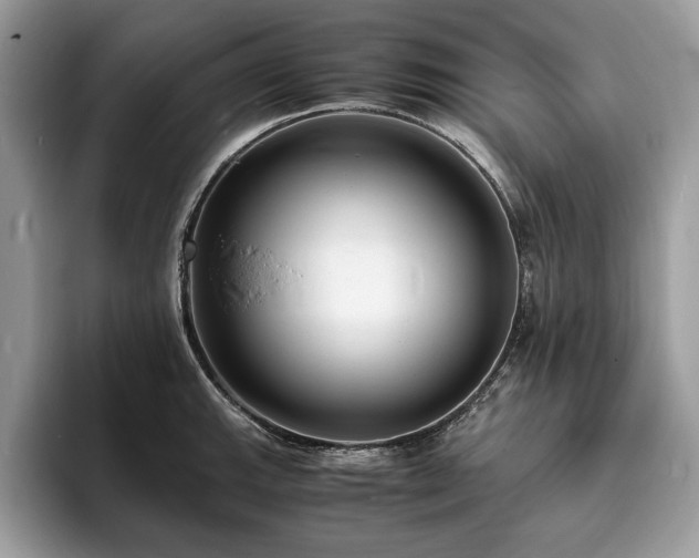 X0000094061143200710191056