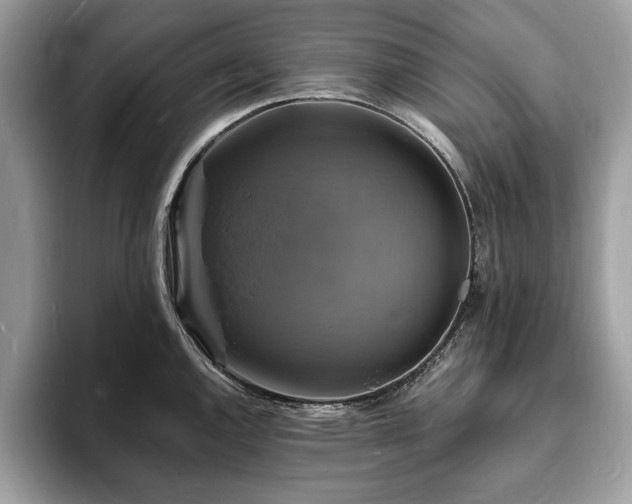 X0000094061144200710191056