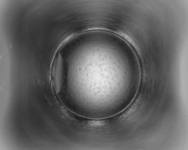X0000094061145200710191056