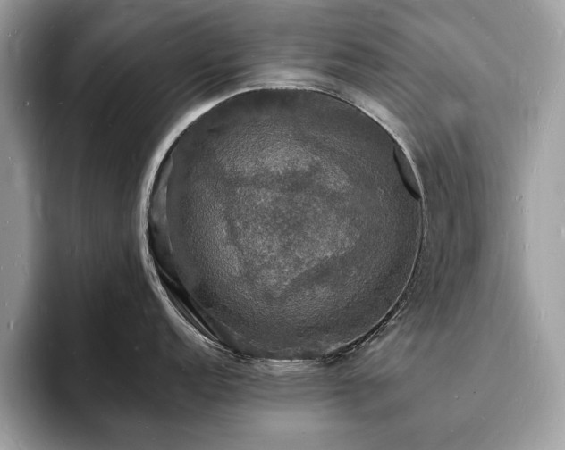 X0000094061152200710191057