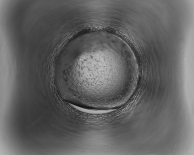 X0000094061153200710191056