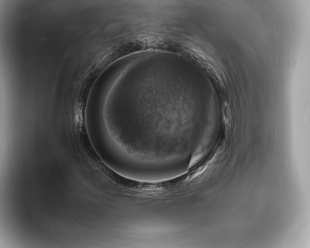X0000094061155200710191056