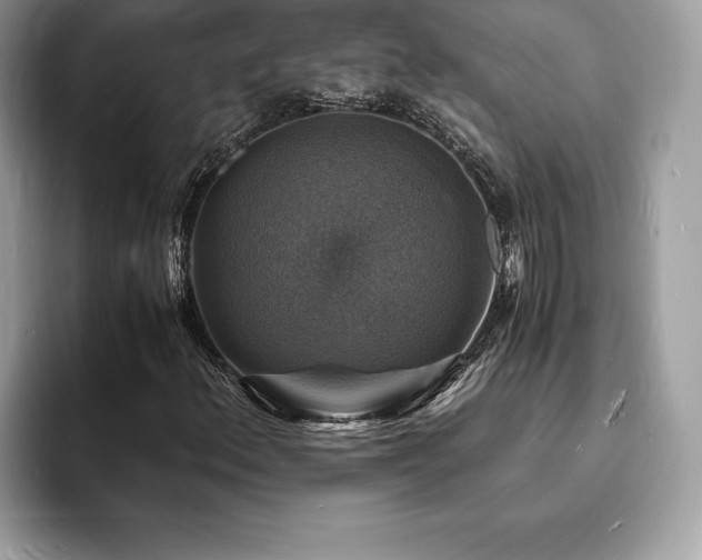 X0000094061156200710191056