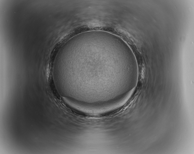 X0000094061157200710191056