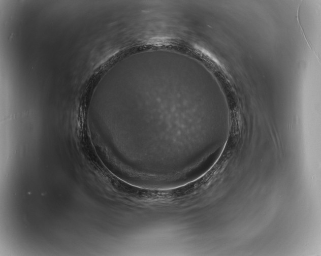 X0000094061158200710191056