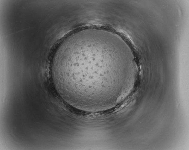 X0000094061159200710191056
