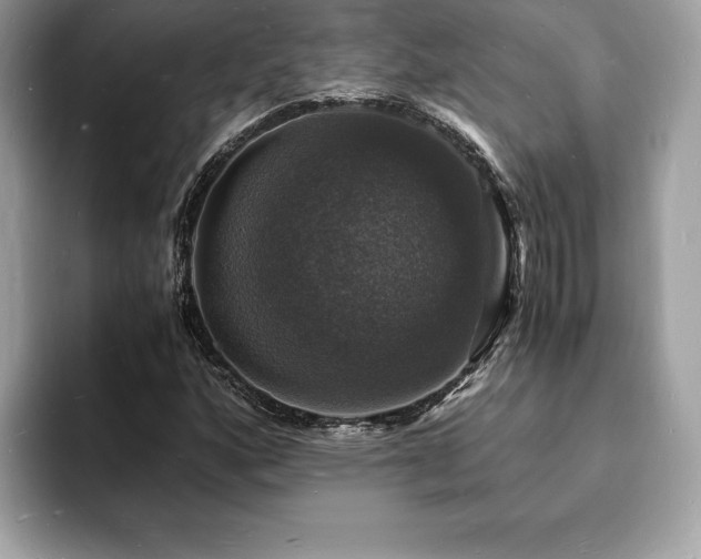 X0000094061160200710191056
