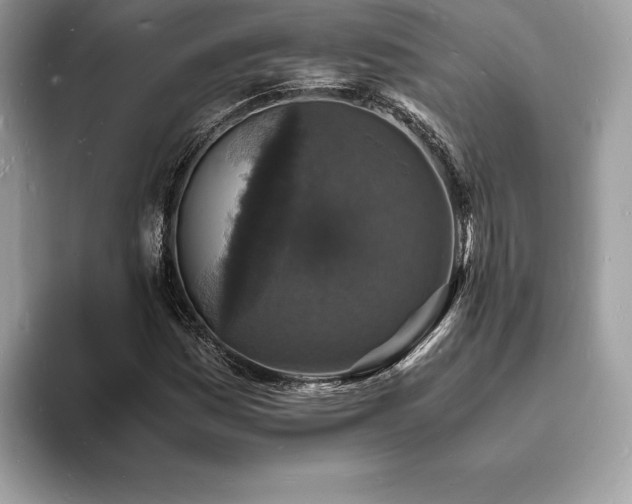 X0000094061161200710191056