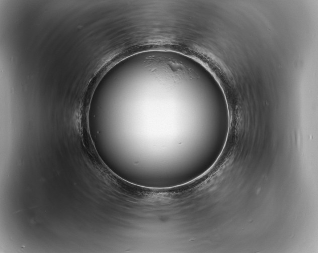 X0000094061162200710191056