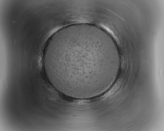 X0000094061163200710191056