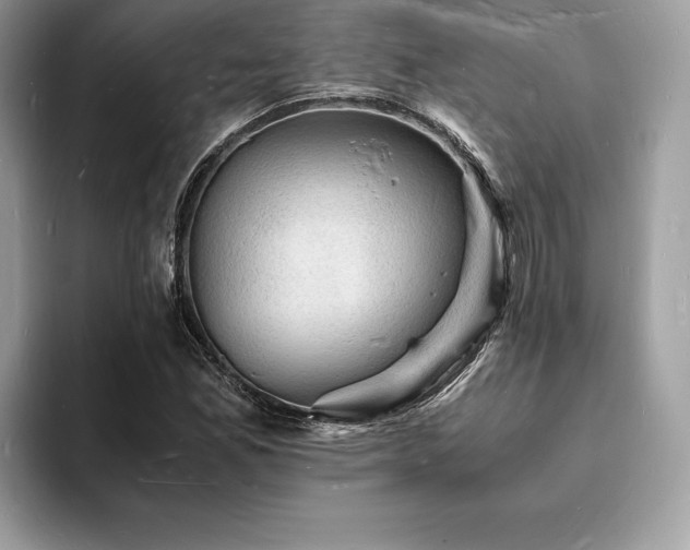 X0000094061165200710191056
