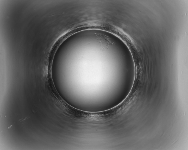 X0000094061166200710191056