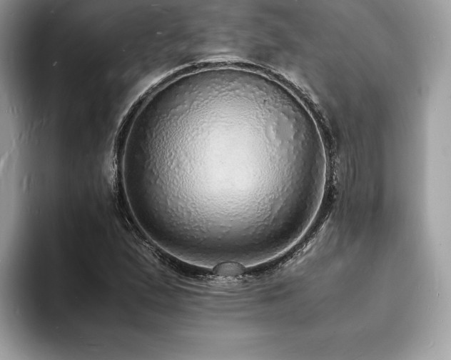 X0000094061167200710191056