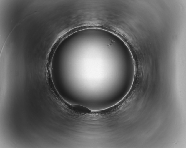 X0000094061168200710191056