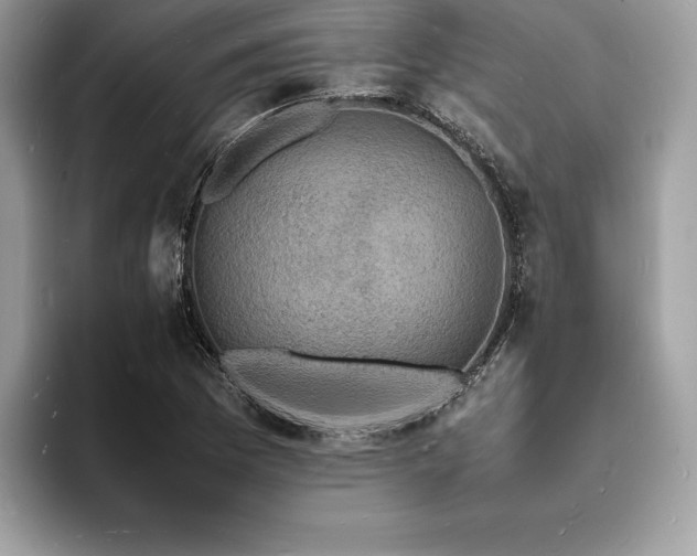 X0000094061169200710191056