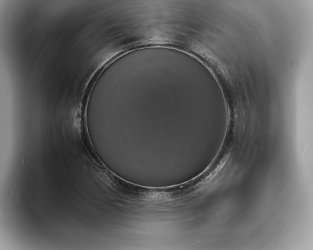 X0000094061170200710191056