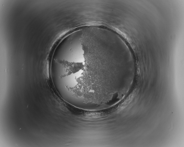 X0000094061171200710191056
