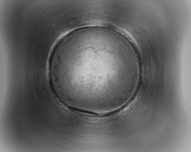 X0000094061172200710191056