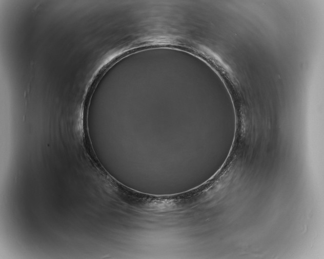X0000094061174200710191056