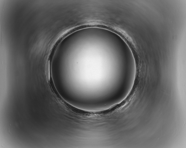 X0000094061175200710191056