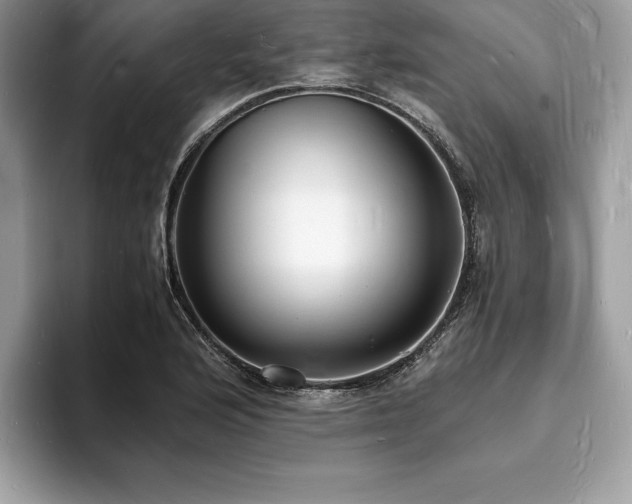 X0000094061176200710191056