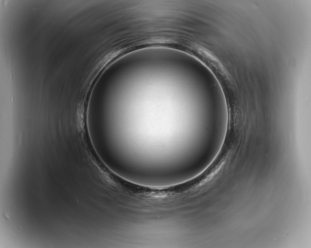 X0000094061177200710191056