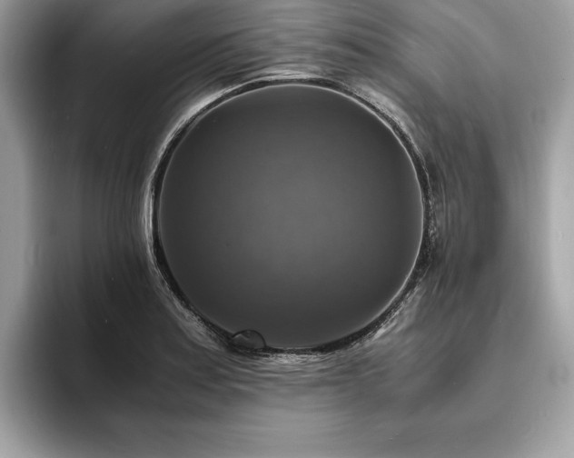 X0000094061179200710191056