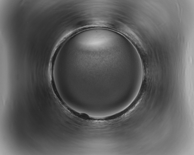 X0000094061180200710191056
