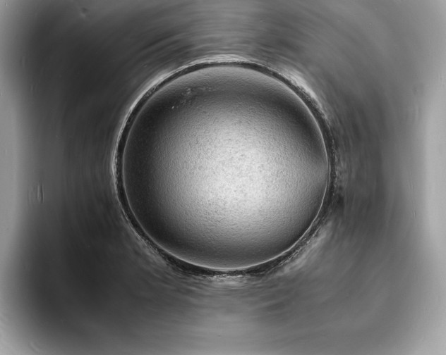 X0000094061181200710191056