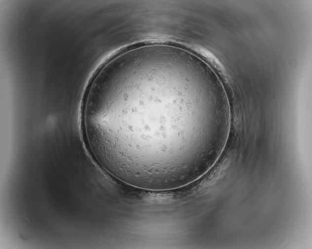 X0000094061183200710191056